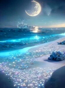 _ChA[g ̊C@@@@@@@@@@@@@UCNA[g@i@iF@@zI@t@^W[@l@Mtg@v[g@CeA