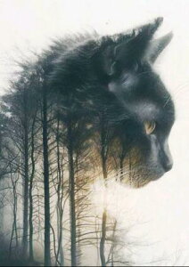 _ChA[g L@@@@@@@@@UCNA[g@˂@_[N@zI@@Lbg@CeA@Mtg@v[g@