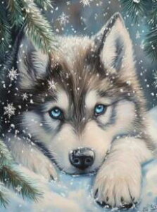 _ChA[g VxAnXL[@@@@@@@@@UCNA[g@@q@킢@L[g@CeA@Mtg@v[g@
