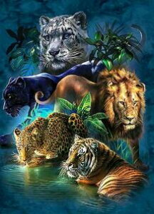 _ChA[g 쐶@@@@@@@@@@UCNA[g@CI@qE@qE@g@ҏb@@@X^CbV@CeA@Mtg@v[g