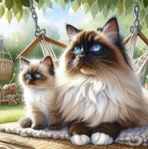 _ChA[g Oh[̐eq@@@@@@@@@@UCNA[g@lR@L@@CeA@Mtg@v[g@L[g@킢