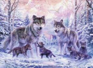 _ChA[g IIJ~̐eq@@@@@@@@@@UCNA[g@Et@T@@CeA@Mtg@v[g@X^CbV