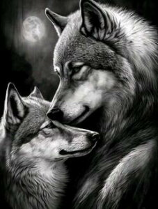 _ChA[g IIJ~̐eq@@@@@@@@@@@@@UCNA[g@T@Et@@mN@@CeA@X^CbV@Mtg@v[g