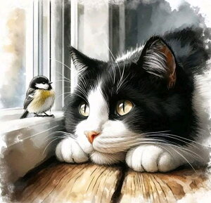 _ChA[g n`̃lRƏ@@@@@@@@@@@@UCNA[g@L@@@@a݁@X^CbV@CeA@Mtg@v[g@L[g