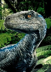 _ChA[g FLvg@@@@@@@@@@@@UCNA[g@@f@L[g@X^CbV@CeA@Mtg@v[g