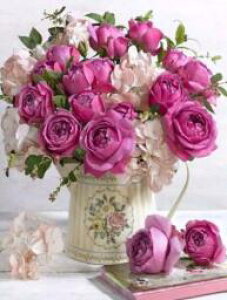 _ChA[g @@@sÑo@@@@@@@@@UCNA[g@ԁ@A@ԕr@X^CbV@KN@ԑ@CeA@Mtg@v[g