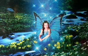 Abv WO\[pY 1000s[X Petit ondine veBIfB[k `̐`@@@@d@t@^W[@G@OtBbNfUC@zI