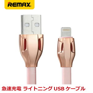 y{Zbg z REMAX }bNX CgjOP[u }[d f[^]Ή Lightning LASER 1m RC-035i-RG
