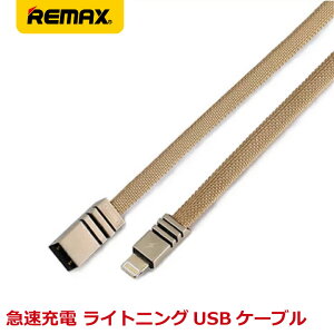 y{Zbg zREMAX }bNX Weave z X[u CgjO LightningP[u 1m CG[ RC-081i-HY