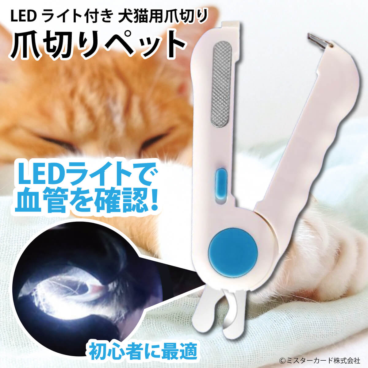 楽天市場】爪切りペット LEDライト付き 犬 猫 ペット用 爪きり