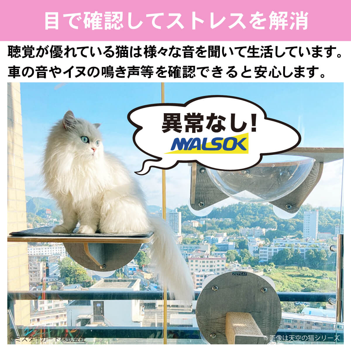 楽天市場】猫 アクリル ハンモック ベット キャットタワー キャット
