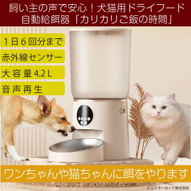 1日6回 時間と量を決められる 猫 犬 ペット 自動給餌器 カリカリご飯の時間 CT-PTFB02 ボイス再生 赤外線センサー 餌やり機 餌やり器 タイマー ネコ イヌ USB給電 バックアップ乾電池 大容量4.2L キャットフード ドッグフード 乾燥剤 健康管理 いたずら対策 水洗い 衛生的