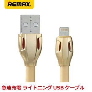 y{Zbg zȂAEgbg@REMAX }bNX CgjOP[u }[d f[^]Ή Lightning LASER 1m RC-035i-GD