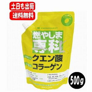 R₵ܐ 500g  X|[chN  pE_[  NG_ hN _CGbg Tvg }`r^~ 500ml 