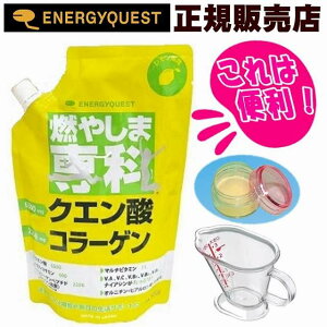 yvʃJbvƌgтɕ֗ȏetzR₵ܐ 500g  X|[chN  pE_[  NG_ hN _CGbg Tvg }`r^~  R