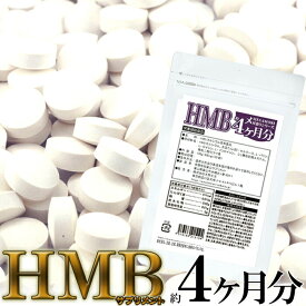 【ゆうパケット出荷】メガ盛り★HMBサプリメントどっさり約4ヶ月分 HMB サプリ　送料無料