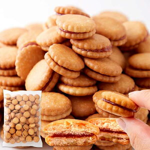 䕃WThNbL[ 500g | C`S  t[c ʕ W NbL[ rXPbg TCY mَq َq Ăَq  p p e  󂠂 PA OZ[ 