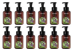 �T���� �E�H�V���{���v���C���t�H�[�� �O���[���n�[�u �{�� 500ml �Ό� 500�~�����b�g�� x 12�Z�b�g