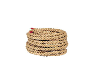 g[GCCg j[v30 1mP TOEI LIGHT B2000