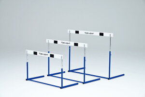 g[GCCg n[hsABS-2 TOEI LIGHT G1307