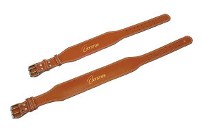 【10/30(木)8〜13時限定 ポイント2倍+LINEクーポン】トーエイライト ウエイトトレーニングベルト Mサイズ TOEI LIGHT H7454M