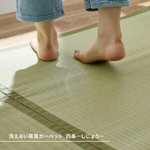 y10/15()20`24Pő48{I}\+5̂z 􂦂  J[ybg { 8 8 PP O rj[ ~  ̕ی 