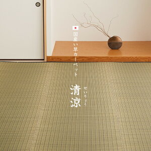Y J[ybg  286×382cm { 6 6 ~ Ԃ O 