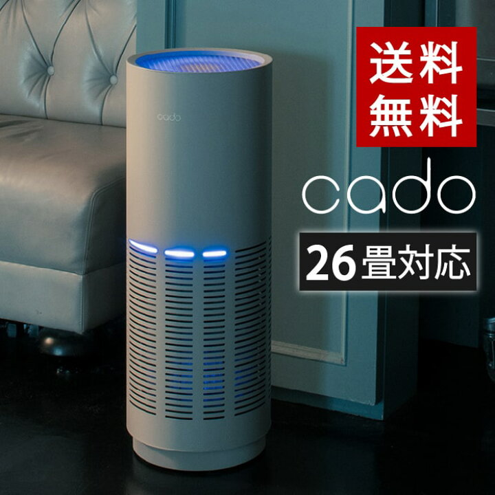 楽天市場】【3/30(日)24時間限定ポイント11倍+LINE登録クーポン】【今 