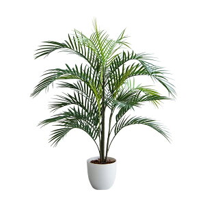 y12/5()20`24|Cgő48{IXpZԁz ϗtA AJV V tFCNO[ lH O[