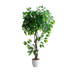 y11/20()20`24|Cgő48{IBFJÒz ϗtA xW~ tFCNO[ lH  O[