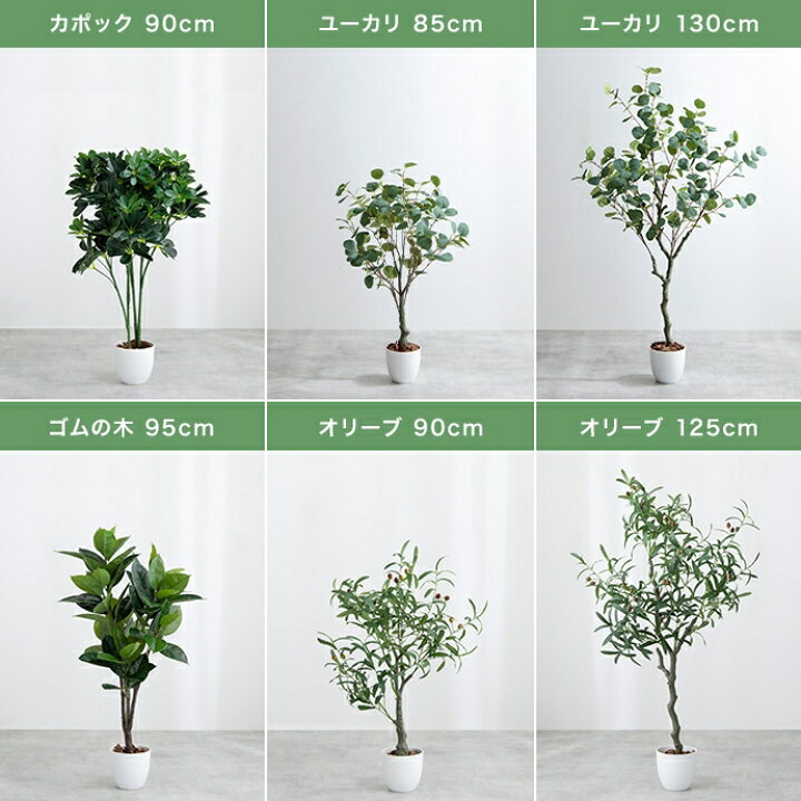 楽天市場】光触媒人工観葉植物 ユーカリ 高さ85cm : allecore 