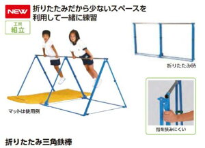 y12/5()20`24|Cgő48{IXpZԁz Goj[ EVERNEW Ki ܃^^~ Op S_ 3 367×s120×T100cm  u[ X`[ hK { K q ^ X|[c ̈ 