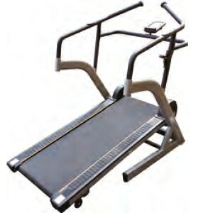 y10/26()20`24|Cgő48{I}\ԁz Goj[ EVERNEW Ki wX WK[ HJ-2020  T155×88×T137cm  ƒp jO EH[LO }V [