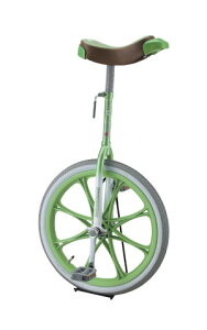 Oä ֎ 20C` (O[) wZ ̈pi  S-9117