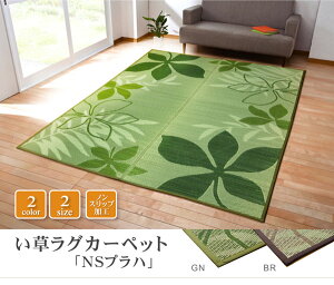 ���[�t�� �������O�J�[�y�b�g �wNS�v���n�x ��191×191cm �i��:����ɂ������H�j ��������