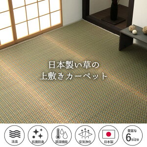 y10/5()20`24Pő50{I}\+5̂z ~ SU ~l J[ybg  Rf { Y L R̗ۖt g a ]ˊ2 174×174cm 