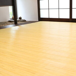 y10/15()20`24Pő48{I}\+5̂z  O J[ybg Rf Ђ ChlVAY ނ ]ˊ6 261×352cm 