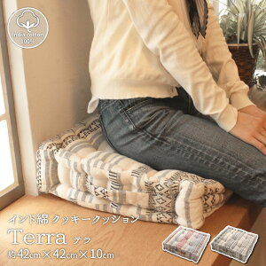 �y5/10(��)20�`24������|�C���g�ő�50�{�I�}���\��+0�̓��z �C���h�ȃN�b�L�[�N�b�V���� �e�� 42×42×10cm ��������
