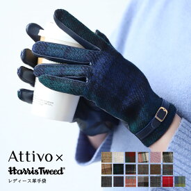 [クリアランスセール価格] 手袋 レディース 本革 革手袋 飾りベルト付き Attivo/Harris Tweed [19色/3サイズ] [ATHT05] 羊革 レザー スマートフォン チェック柄 タータンチェック おしゃれ プレゼント 女性 通勤 あたたかい かわいい 上品