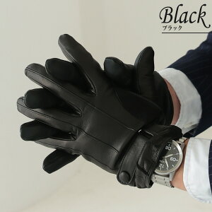 ySi10%OFFN[|b48hzybsOz Y C^A v rv(ibp) nJV~100 Correalegloves/RA[O[uX [2TCY] [CRM6079] jp  {v U