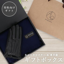 ギフトBOX カシミヤ100％ マフラー ＋ 革手袋 ＋ 無料ラッピング レディース用 Attivo [XM202] カシミヤマフラー ストール 無地 チェック 赤 白 黒 カシミア 本革 皮手袋 手袋 男性 選べる プレゼント ギフト 彼氏