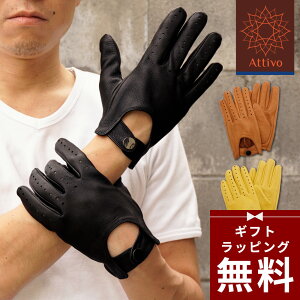 ybsOzv Y  Attivo p`OO[u t v fBAXL [4TCY] [ATDC021] hCrO O[u j U[ oCNp uh v[g  