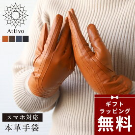 【全品10%OFFクーポン｜48h限定】【ラッピング無料】手袋 レディース スマホ対応 革手袋 Attivo [全4色/全3サイズ] [ATKU036] レザー手袋 グローブ 暖かい 防風 シープスキン 女性 本革 レザー 秋冬 防寒対策 おしゃれ 無地 シンプル プレゼント