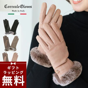  fB[X Correalegloves/RA[O[uX X}zΉ v bLXt@[t rv nJV~A100[3TCY S M L] [4F ubN x[W sN u[] [CRL0071] rbgt@