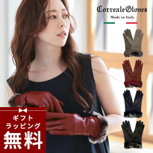  fB[X uh Correalegloves v rv t@[t n JV~A100[S3F/S3TCY] [x[W lCr[ ubN] [CRL0077] p  bLX t@[ {v { U[ H~ 