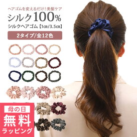 [ 母の日 無料ラッピング対象 ] シュシュ シルク ヘアゴム 最高級 6Aランク 大人 キッズ 高品質 おしゃれ 上品 上質 22匁(モンメ) ヘアアクセサリー [全12色 ブラウン ブルー ] [1cm・3.5cm] [SCCA22] 贈り物 母の日