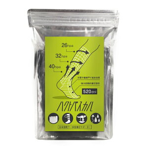 \bNX ܖ{w C ̌^iKT|[^[ nNgpXJ 5{w T|[g\bNX ނԂ T|[^[ jO }\ ӂ͂ gCjO g Y 