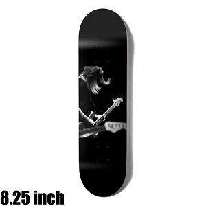 GIRL K[ PHOTO SPIKE KIM GORDON 8.25 XP[g{[h fbL