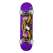 楽天市場】antihero 7.3の通販