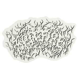 Xsbgt@CA SPITFIRE^DEATHMASK STICKER WHITE/BLACK/CLEAR (M) XebJ[